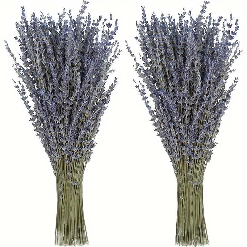 Dried Flower Bunch - 200 peças/maço de Flores Secas de
