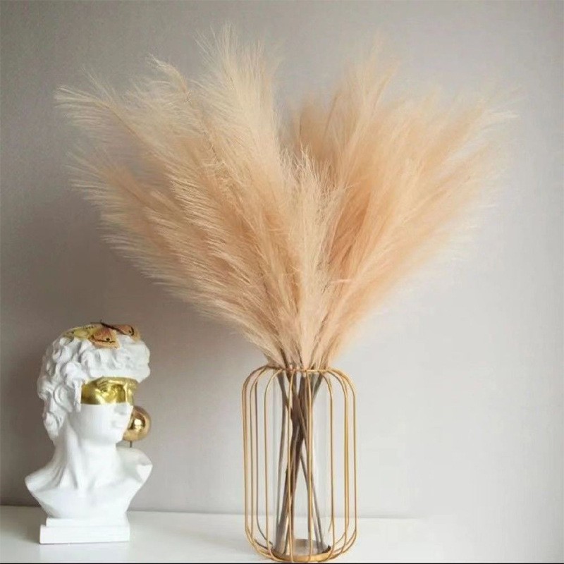 Florist Supply Bulk - Grama pomposa artificial, Ramos de Pompass,