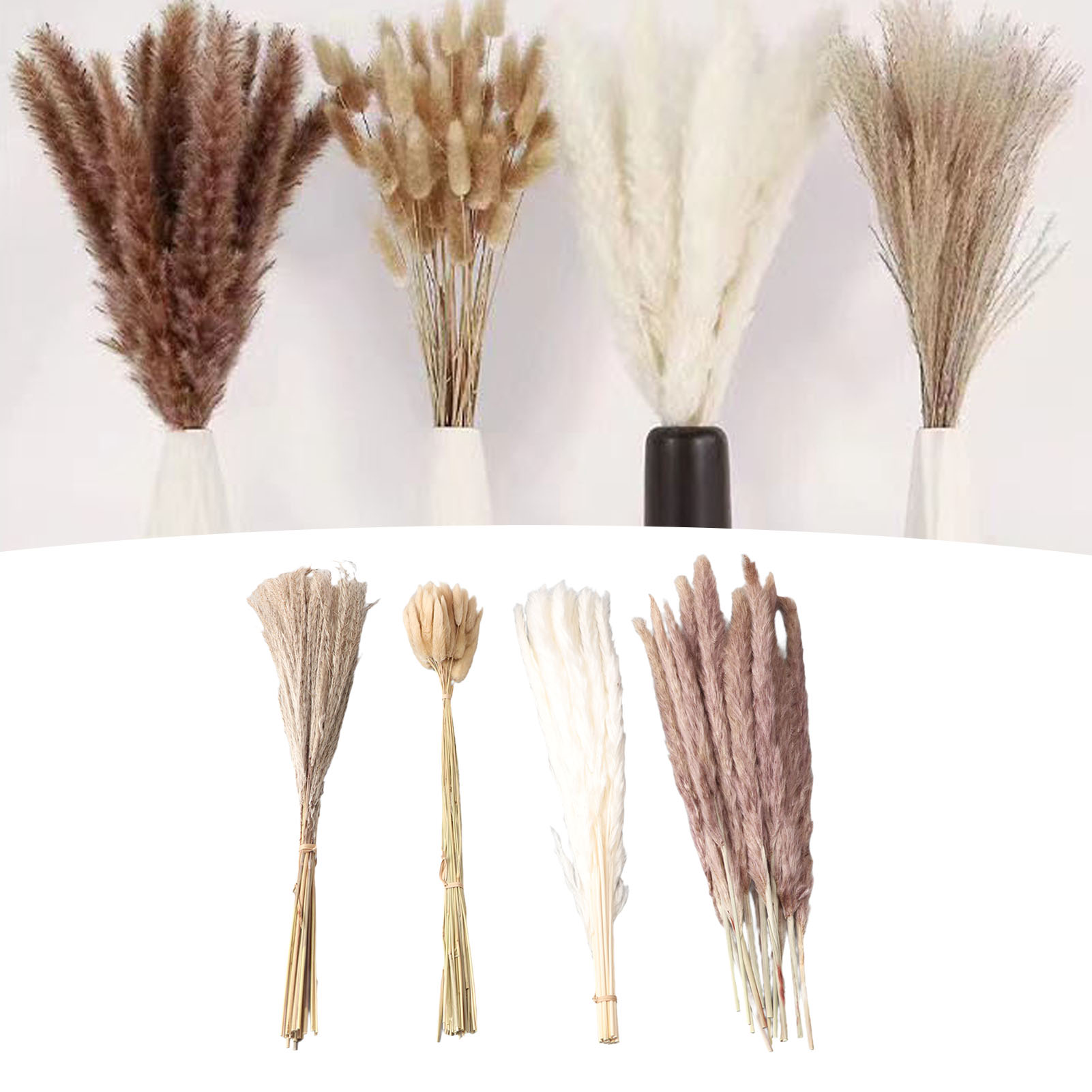 Dried Flower Bunch - Capim dos Pampas Natural Seco e
