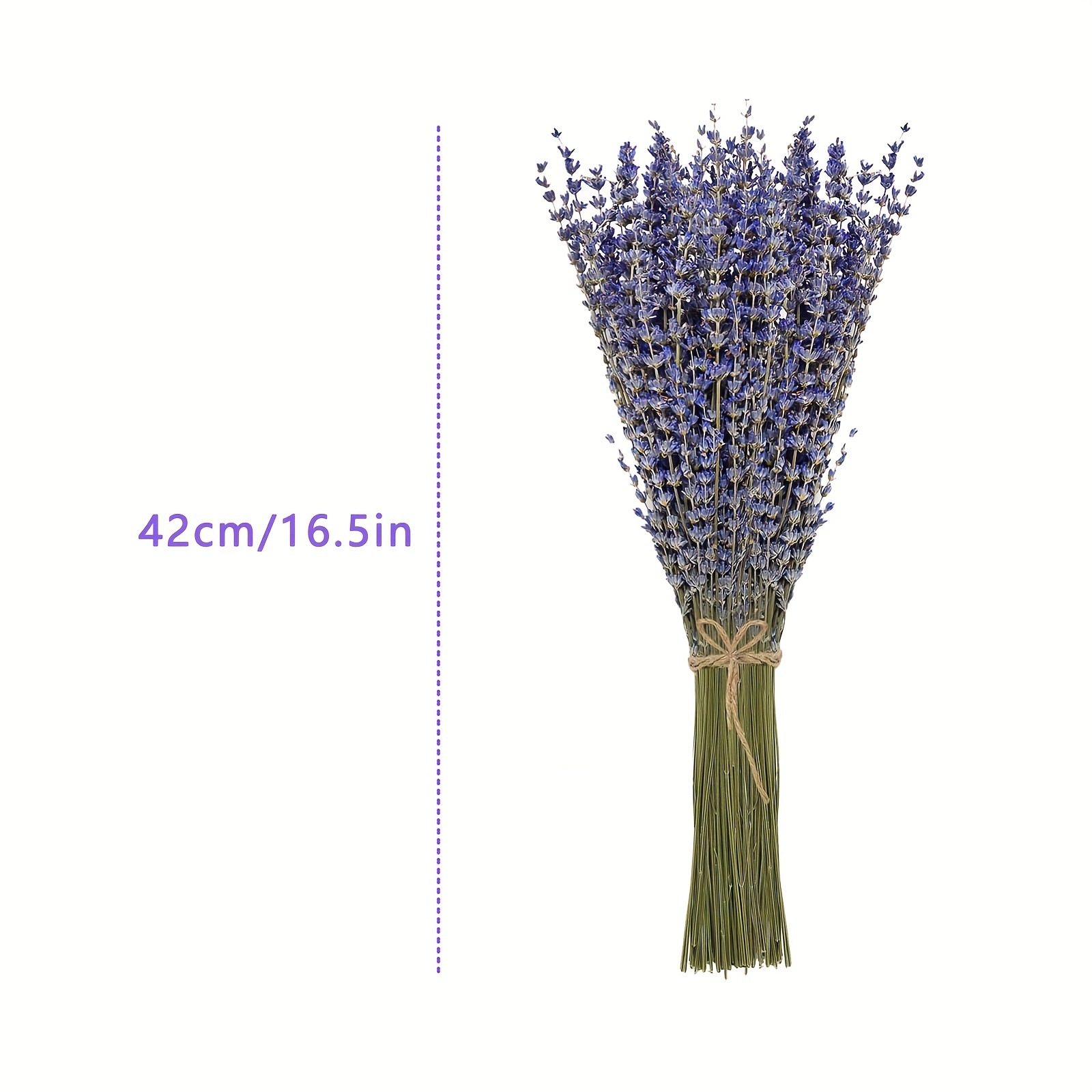 200 peças/maço de Flores Secas - Dried Flower Bunch avaliação e preço