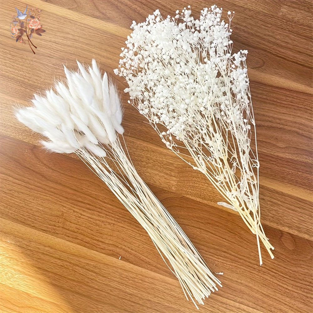 Buquê de casamento de noiva co - Dried Flower Bunch avaliação e preço