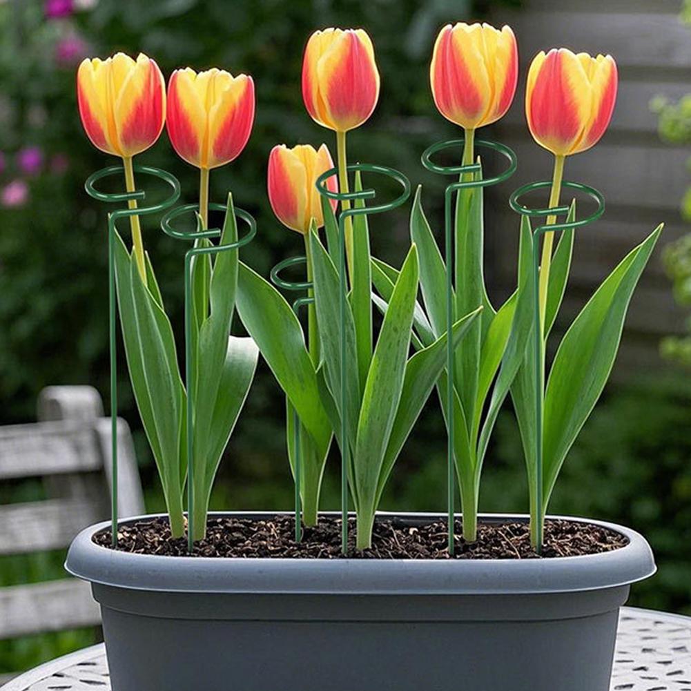 Estacas de Suporte Metálicas p - Florist Supply Bulk avaliação e preço