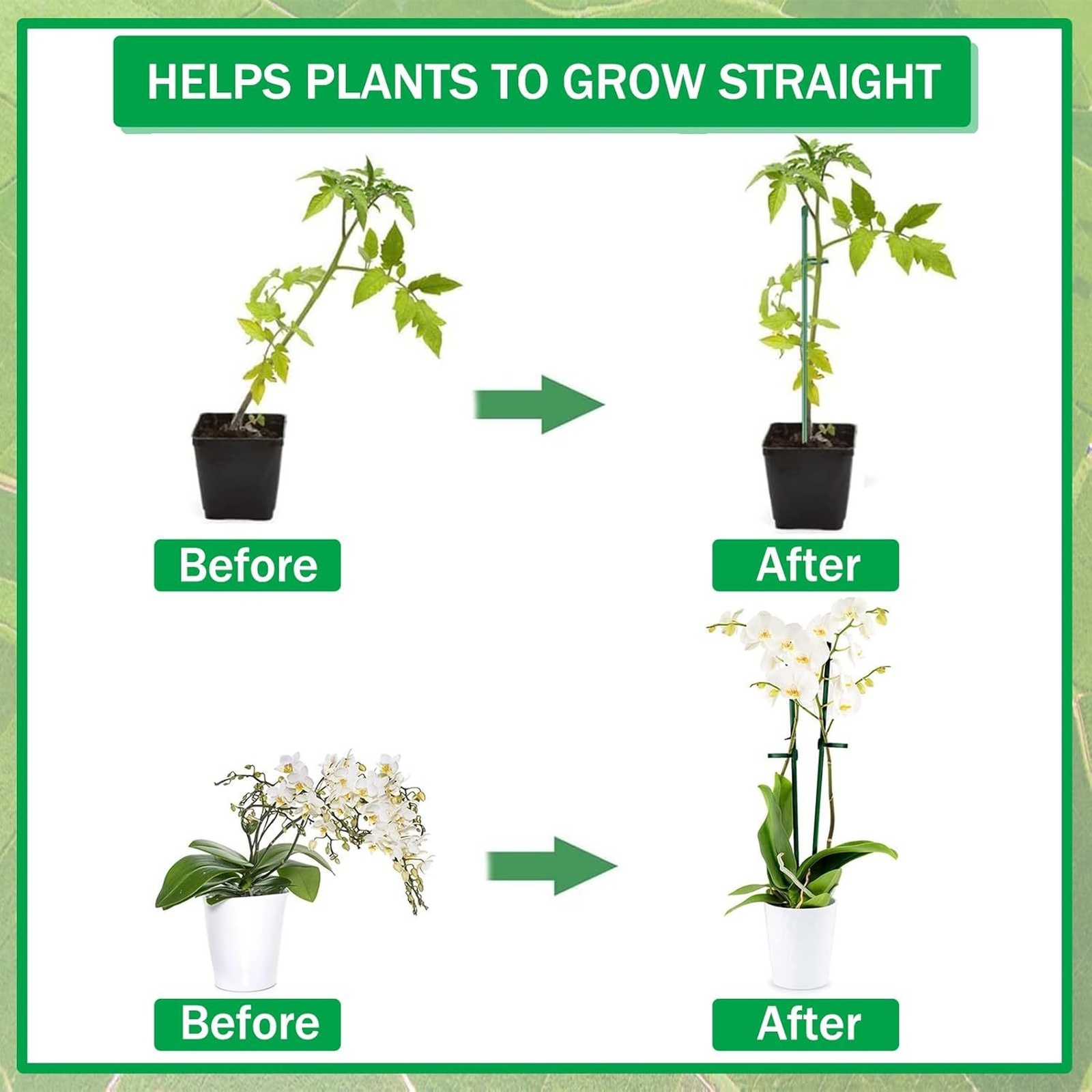 Estacas de Suporte para Planta - Florist Supply Bulk avaliação e preço