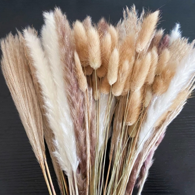 Granel 100 peças hastes grama  - Dried Flower Bunch avaliação e preço