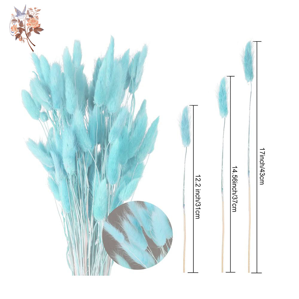 100 pçs natural coelho caudas  - Dried Flower Bunch avaliação e preço