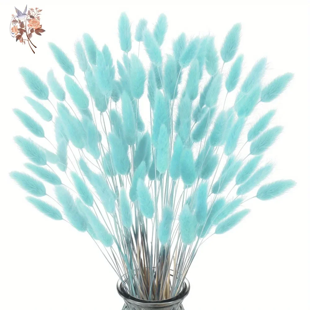 100 pçs natural coelho caudas  - Dried Flower Bunch avaliação e preço