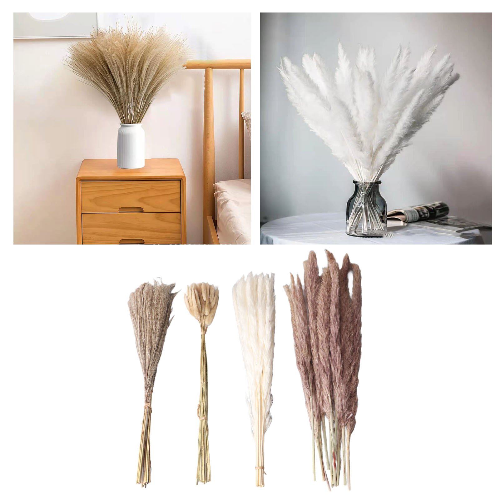 Capim dos Pampas Natural Seco  - Dried Flower Bunch avaliação e preço