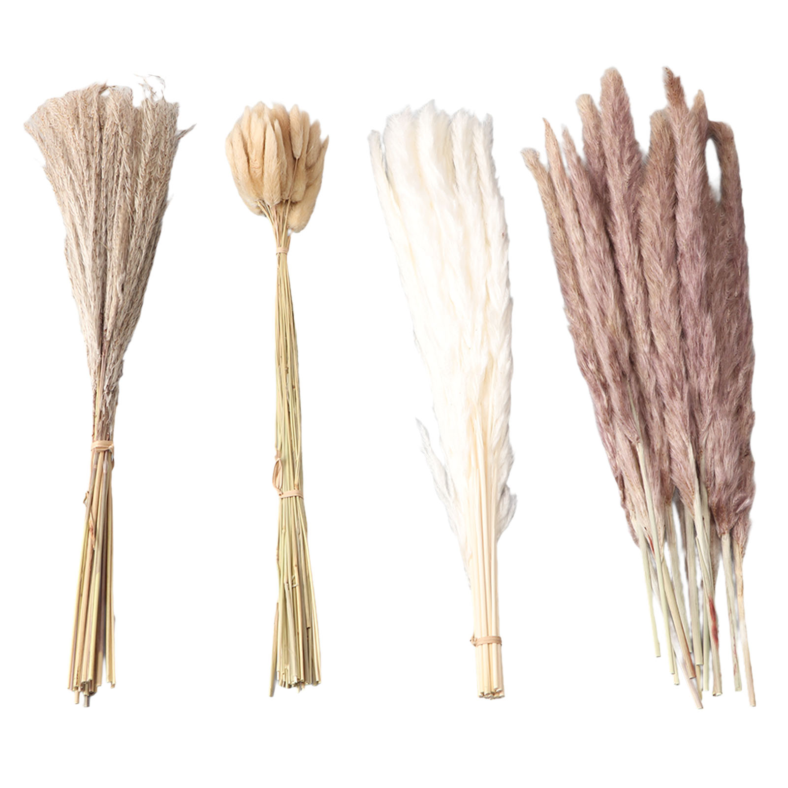 Capim dos Pampas Natural Seco  - Dried Flower Bunch avaliação e preço