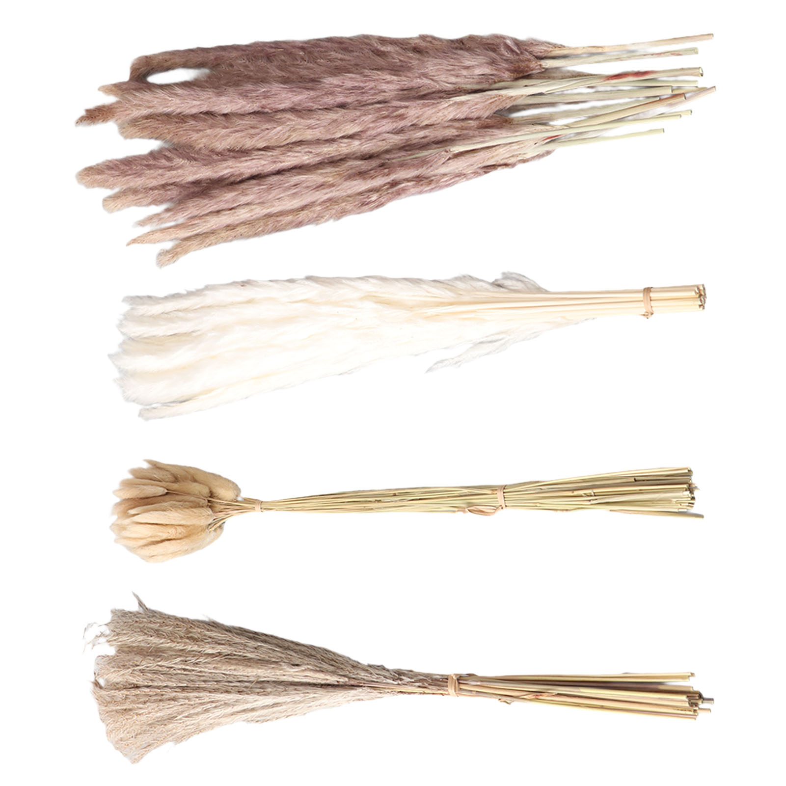 Capim dos Pampas Natural Seco  - Dried Flower Bunch avaliação e preço