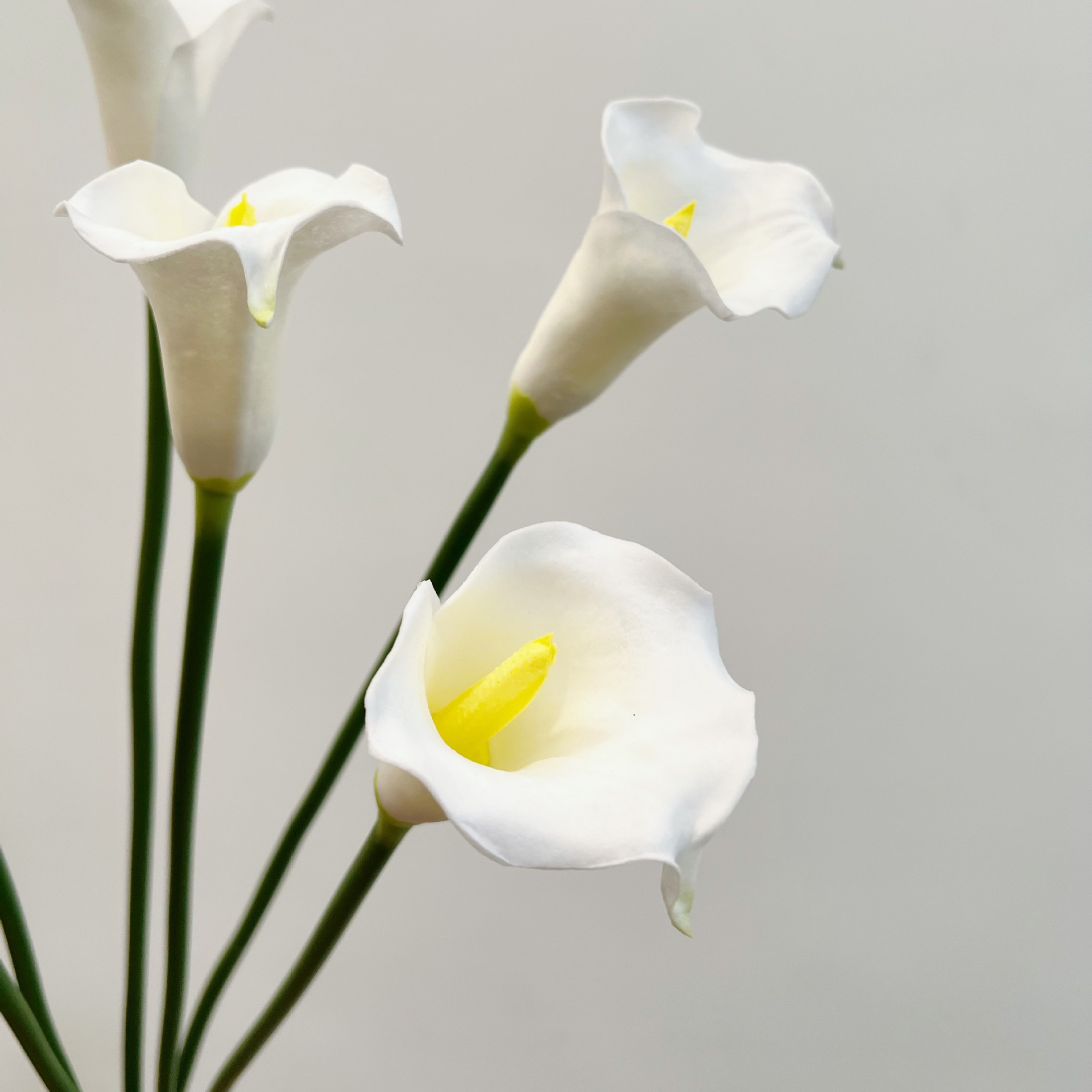 Flor Artificial de Lírio Calla - Florist Supply Bulk avaliação e preço