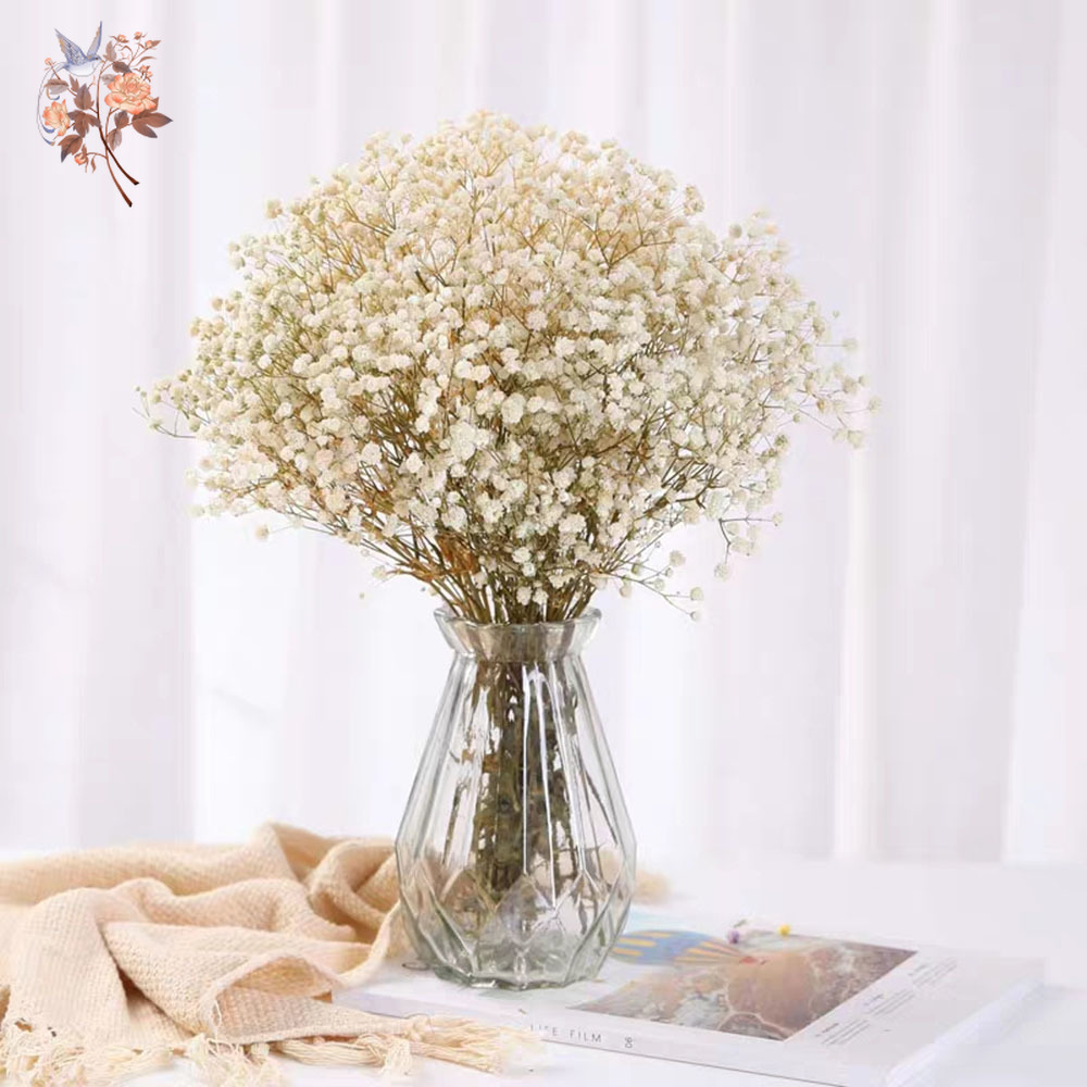 Buquê de flores secas para res - Dried Flower Bunch avaliação e preço