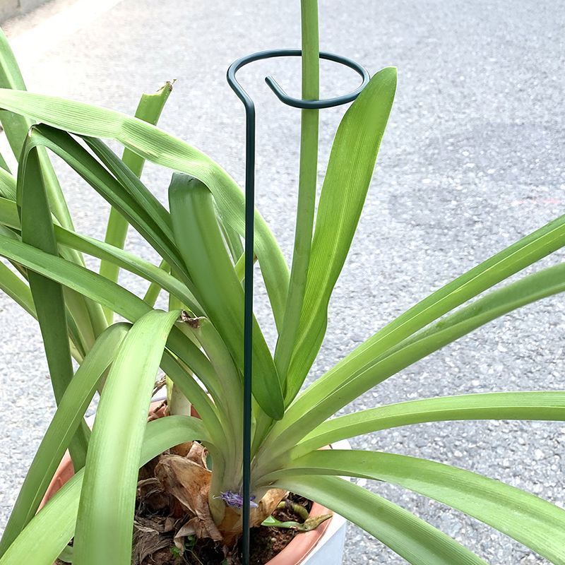 1-10 pçs metal único haste pla - Florist Supply Bulk avaliação e preço