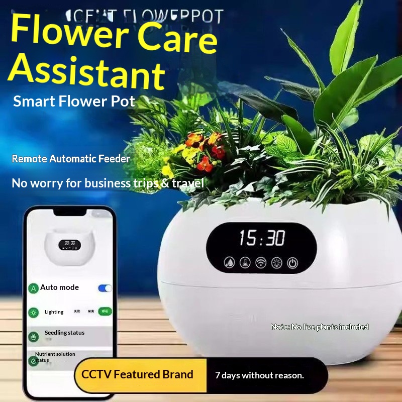 Vaso de Flores Inteligente com - Flower Supply avaliação e preço