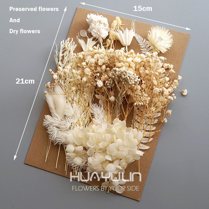 1 pacote de plantas artificiai - Dried Flower Bunch avaliação e preço